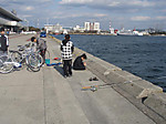 P1220529_medium