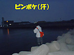 P1230103_medium