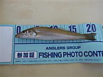 Img_0969_wince