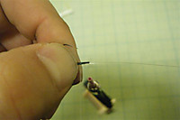 Photo_20
