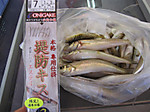 Img_1849_medium