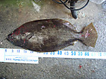 P5050240_small