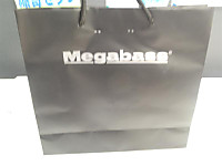 Megabasu_medium
