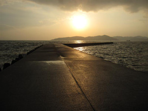 Img_3209_medium