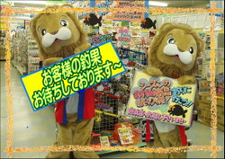 Photo_7