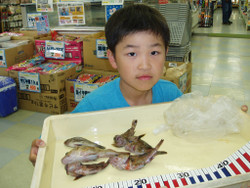 009_medium 009_medium
