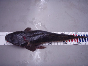 P5220978_small