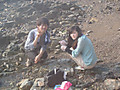 025_small