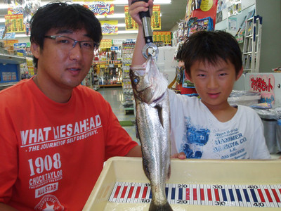 009_medium 009_medium