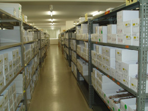 P1011266_small