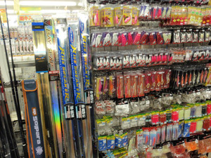 P7180231_medium