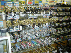 008_medium 008_medium