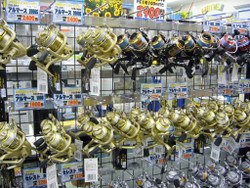 009_medium 009_medium