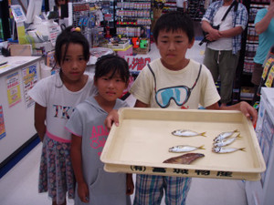 P8180138_small