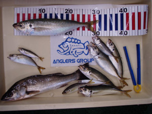 P8230172_small