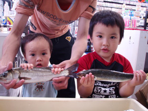 P8230174_small