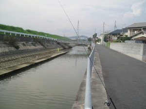 P1011311