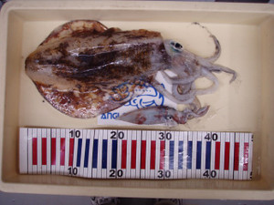 P8280205_small