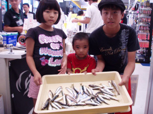 P9070228_small_2