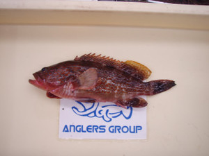 P9120249_small_2