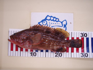 P9120250_small