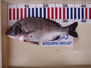 P9120253_small