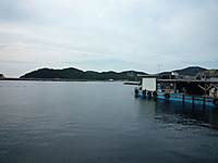 P1000223