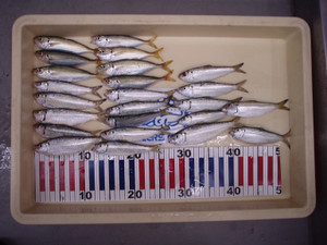 P9200272