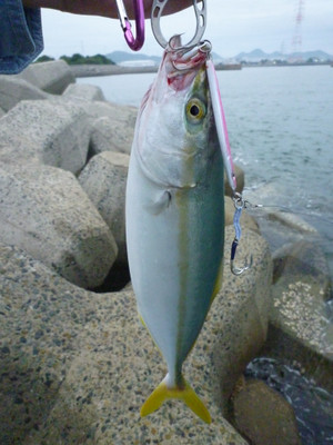 P1000251