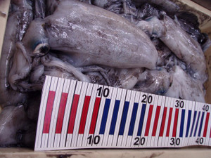 Pa130310_small