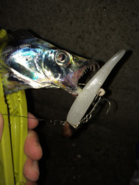 Image3_3