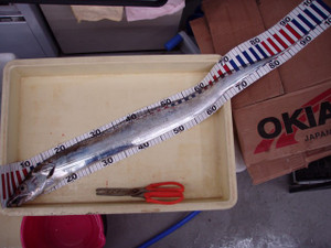 Pa260357_small