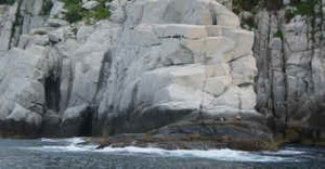 Small_2