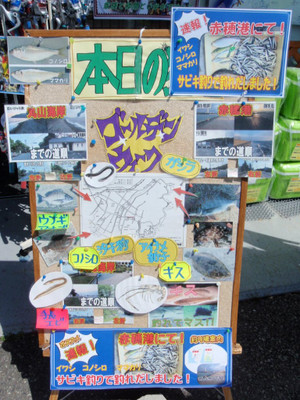 P5050117_medium
