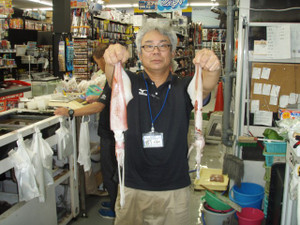 P8010969_small
