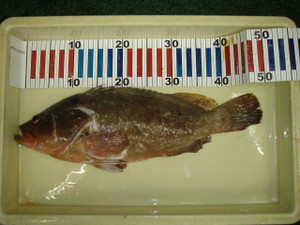 P8020972_small
