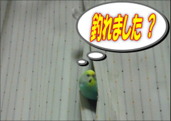 Medium_2