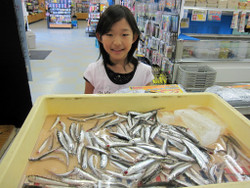 009_medium 009_medium