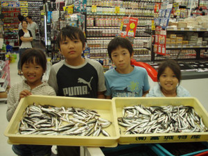 P9131110_small