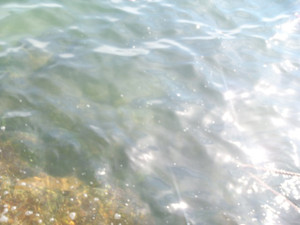 002_small