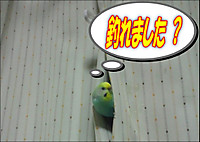Medium_2