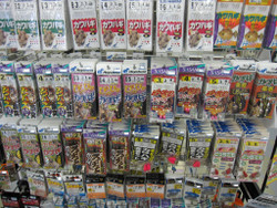 005_medium 005_medium