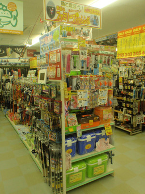 P4030924_medium