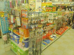 P4030925_medium