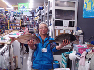 P4060206_small
