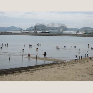 Photo_28