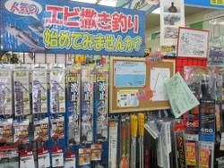 010_medium 010_medium