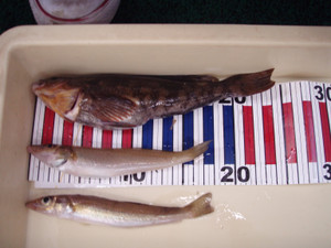 P4100249_2