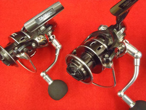 P4135694_small