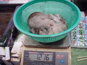 P7030661_2